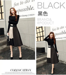 Spring Autumn New High Waist Contrast A-line Skirt All-match Zipper Loose Trend Skirts Vintage Elegant Temperament Women Clothes